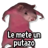 Stickers Memes de Animales🌴🍃