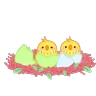 Stickers 🐰 easter