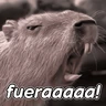 Stickers capibara 😎