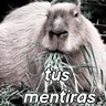 Stickers capibara 😎
