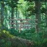 Stickers Ghibli Bucin