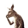 Stickers Team Canguro Viral TikTok 🦘📸