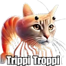 🗣️ TikTok Brainrot 💀