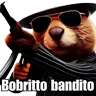 🗣️ TikTok Brainrot 💀