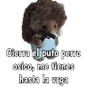 Stickers Ternurines Groseros 🖕🏻