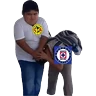 Stickers America vs cruz azul memes 🔥