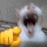 Stickers Gatinhos memes