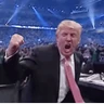 Stickers Trump