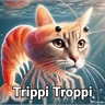 Stickers Meme Brainrot Tiktok Quiz