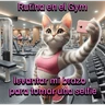 Stickers Funny Gym 💪🏼