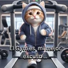 Stickers Funny Gym 💪🏼