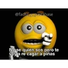 Stickers soy admin