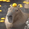 Stickers capibara 