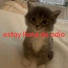 Stickers Gatos Good 😼🤟🏻