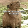 Stickers La Semana con Capibaras🦛🗓️✨