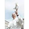 Stickers Papa Francisco🕊️
