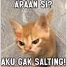 Stickers meme kucing 