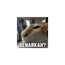 Stickers meme kucing 
