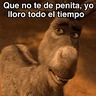 Stickers Sherk ✨ Memes clásicos 2