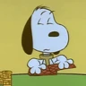 Stickers 🦴🏠 SNOOPY 5 🏠🦴