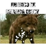 Stickers En modo de defensa estoy 🛡️