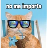 Stickers Michis con calor 🥵🥵