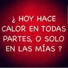 Stickers Frases del Calor 🫠