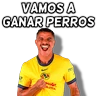 Stickers América 👑⚽