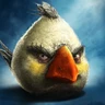 Stickers Angry Birds Realista