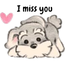 Stickers COQUETA 