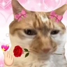 Stickers 💞💖 AMOR 6 💖💞