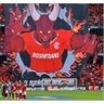 Stickers Toluca fc 
