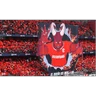 Stickers Toluca fc 