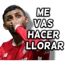 Stickers Toluca ⚽👑