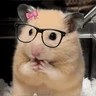 Stickers 🐹 HAMSTERCITOSSS 🐹