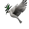 Stickers 🕊🪺 Paloma MIGAJERA 🪺🕊