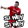 Stickers Toluca FC momazos