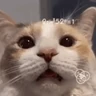 Stickers 📲UN MIX PAL CHAT 2 📲