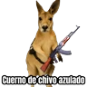Stickers 🦘Memes canguro 🦘😂