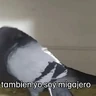Stickers 🐦 PALOMA MIGAJERA BAILANDO🐦