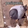 Stickers 🐦 PALOMA MIGAJERA BAILANDO🐦