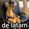 Stickers Canguro 2 🦘Tiktok 🔥