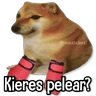 Stickers Memes Más Usados #4😎