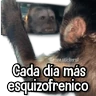 Stickers Changuitos pa Ti🐒🍌🌴