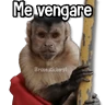 Stickers Changuitos pa Ti🐒🍌🌴