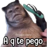 Stickers Changuitos pa Ti🐒🍌🌴
