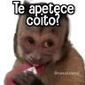 Stickers Changuitos pa Ti🐒🍌🌴