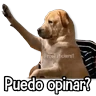 Stickers Memes Más Usados #5😎