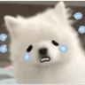 Stickers Cute doggy 🐶✧*