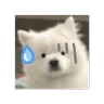Stickers Cute doggy 🐶✧*